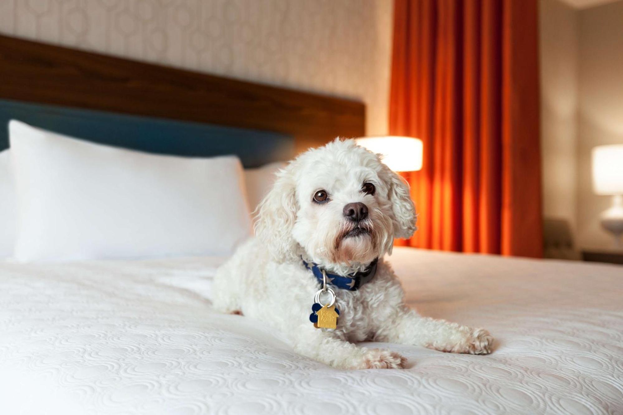 Home2 Suites By Hilton Mt Pleasant Charleston Mount Pleasant Eksteriør billede